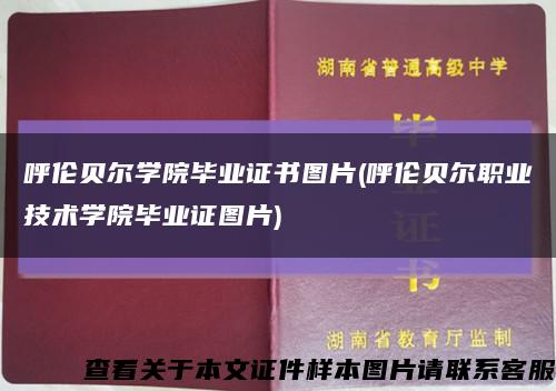 呼伦贝尔学院毕业证书图片(呼伦贝尔职业技术学院毕业证图片)缩略图