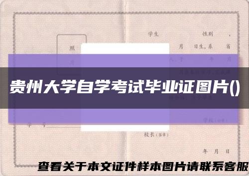 贵州大学自学考试毕业证图片()缩略图