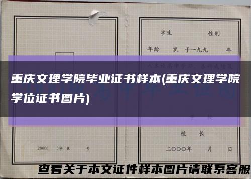 重庆文理学院毕业证书样本(重庆文理学院学位证书图片)缩略图