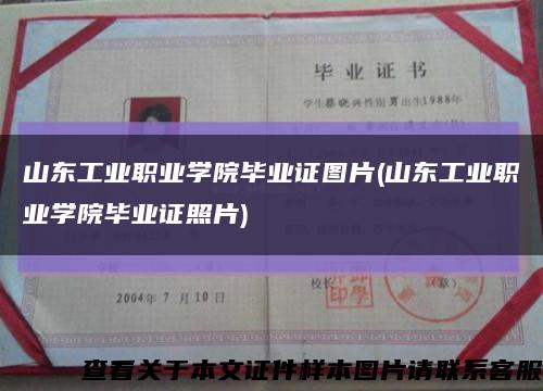 山东工业职业学院毕业证图片(山东工业职业学院毕业证照片)缩略图