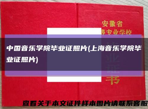 中国音乐学院毕业证照片(上海音乐学院毕业证照片)缩略图