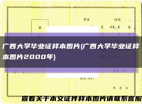 广西大学毕业证样本图片(广西大学毕业证样本图片2000年)缩略图
