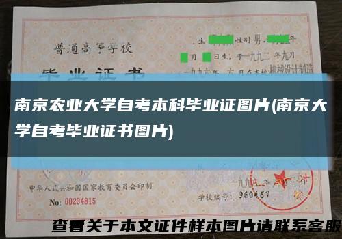 南京农业大学自考本科毕业证图片(南京大学自考毕业证书图片)缩略图