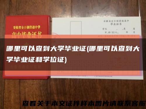 哪里可以查到大学毕业证(哪里可以查到大学毕业证和学位证)缩略图