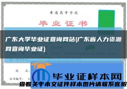 广东大学毕业证查询网站(广东省人力资源网查询毕业证)缩略图