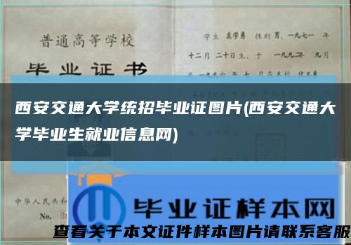 西安交通大学统招毕业证图片(西安交通大学毕业生就业信息网)缩略图