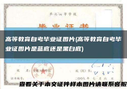 高等教育自考毕业证图片(高等教育自考毕业证图片是蓝底还是黑白底)缩略图