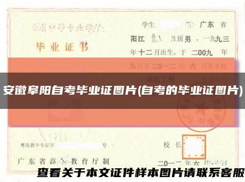 安徽阜阳自考毕业证图片(自考的毕业证图片)缩略图