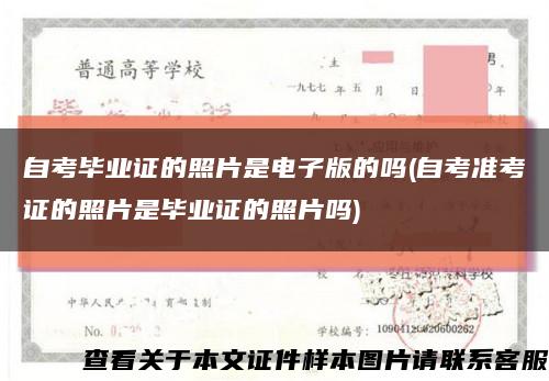 自考毕业证的照片是电子版的吗(自考准考证的照片是毕业证的照片吗)缩略图