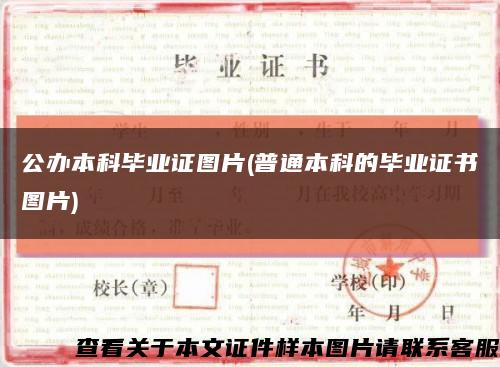 公办本科毕业证图片(普通本科的毕业证书图片)缩略图