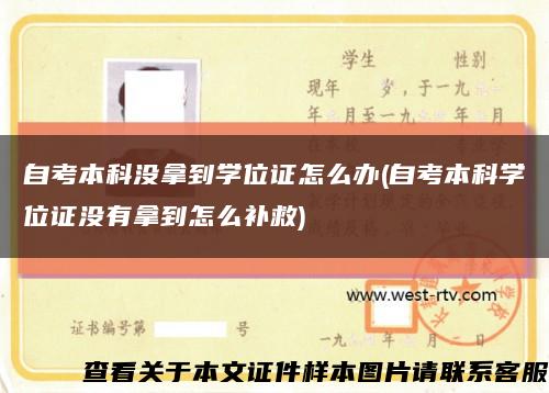 自考本科没拿到学位证怎么办(自考本科学位证没有拿到怎么补救)缩略图