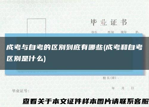 成考与自考的区别到底有哪些(成考和自考区别是什么)缩略图