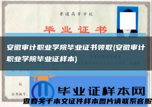 安徽审计职业学院毕业证书领取(安徽审计职业学院毕业证样本)缩略图