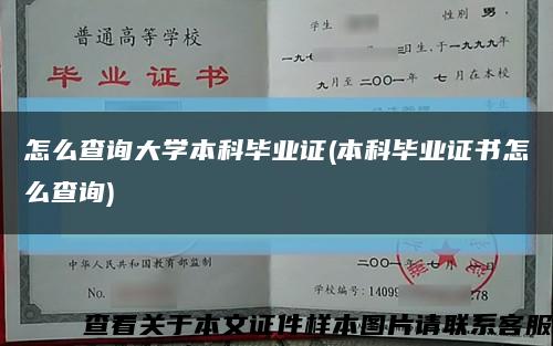 怎么查询大学本科毕业证(本科毕业证书怎么查询)缩略图