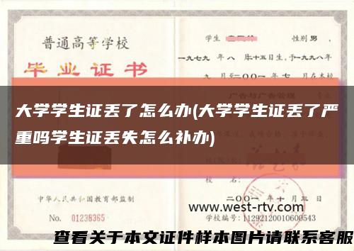 大学学生证丢了怎么办(大学学生证丢了严重吗学生证丢失怎么补办)缩略图