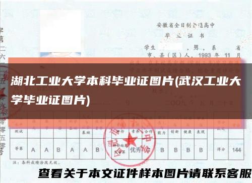 湖北工业大学本科毕业证图片(武汉工业大学毕业证图片)缩略图