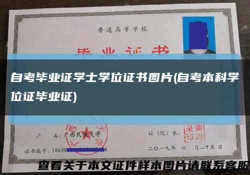 自考毕业证学士学位证书图片(自考本科学位证毕业证)缩略图