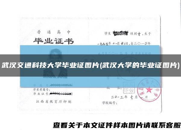 武汉交通科技大学毕业证图片(武汉大学的毕业证图片)缩略图