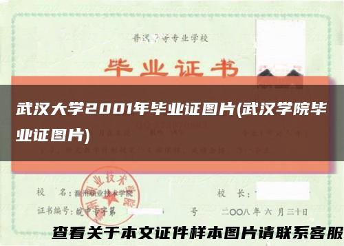 武汉大学2001年毕业证图片(武汉学院毕业证图片)缩略图