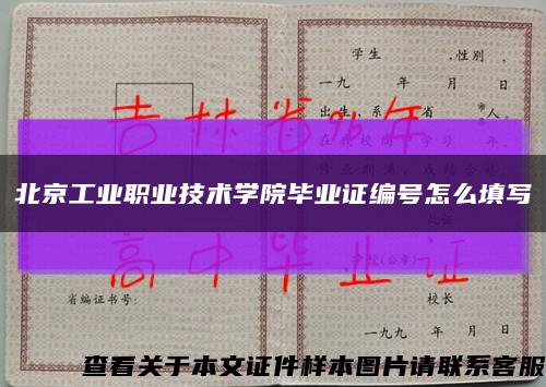 北京工业职业技术学院毕业证编号怎么填写缩略图