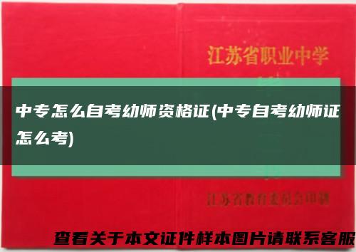 中专怎么自考幼师资格证(中专自考幼师证怎么考)缩略图