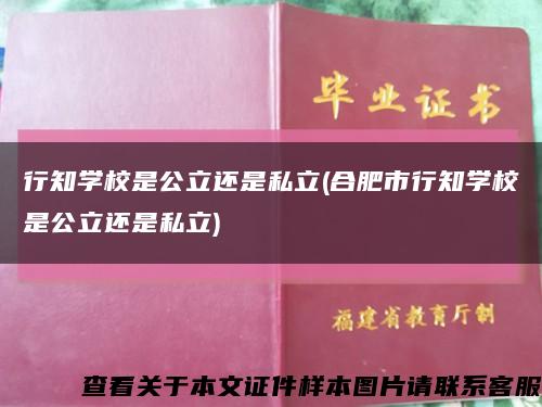 行知学校是公立还是私立(合肥市行知学校是公立还是私立)缩略图