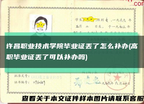 许昌职业技术学院毕业证丢了怎么补办(高职毕业证丢了可以补办吗)缩略图