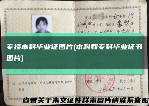 专接本科毕业证图片(本科和专科毕业证书图片)缩略图