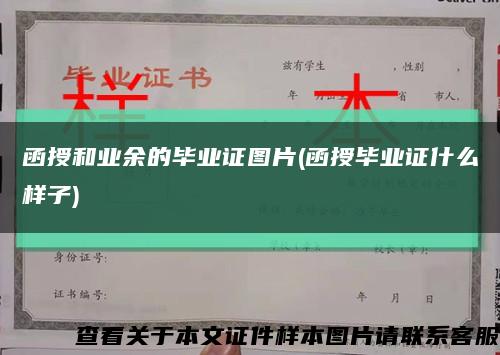 函授和业余的毕业证图片(函授毕业证什么样子)缩略图