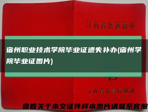 宿州职业技术学院毕业证遗失补办(宿州学院毕业证图片)缩略图