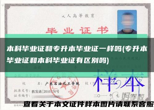 本科毕业证和专升本毕业证一样吗(专升本毕业证和本科毕业证有区别吗)缩略图