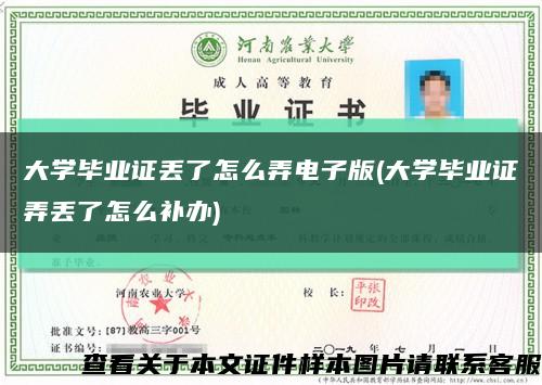 大学毕业证丢了怎么弄电子版(大学毕业证弄丢了怎么补办)缩略图
