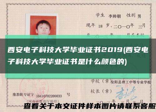 西安电子科技大学毕业证书2019(西安电子科技大学毕业证书是什么颜色的)缩略图