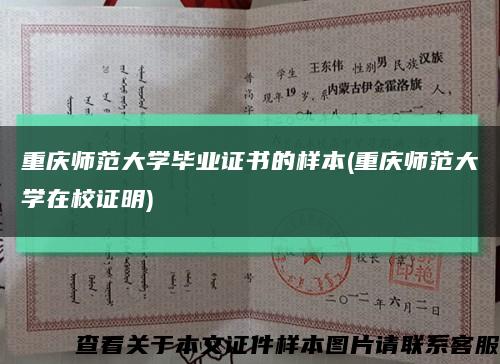 重庆师范大学毕业证书的样本(重庆师范大学在校证明)缩略图