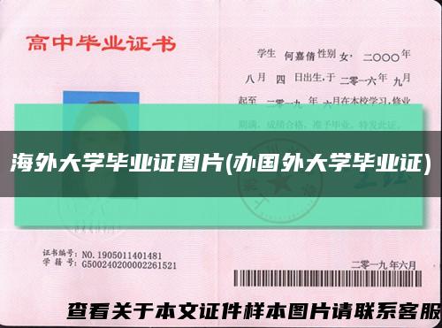 海外大学毕业证图片(办国外大学毕业证)缩略图