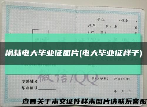 榆林电大毕业证图片(电大毕业证样子)缩略图