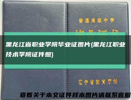 黑龙江省职业学院毕业证图片(黑龙江职业技术学院证件照)缩略图