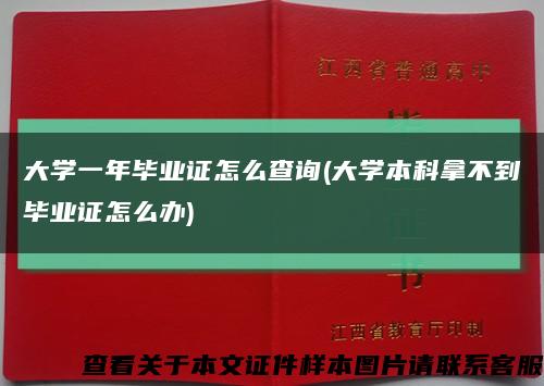 大学一年毕业证怎么查询(大学本科拿不到毕业证怎么办)缩略图