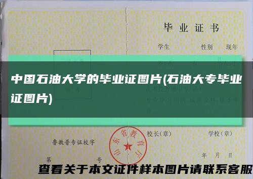 中国石油大学的毕业证图片(石油大专毕业证图片)缩略图