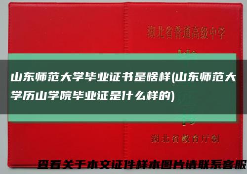 山东师范大学毕业证书是啥样(山东师范大学历山学院毕业证是什么样的)缩略图