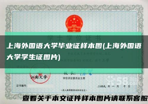 上海外国语大学毕业证样本图(上海外国语大学学生证图片)缩略图