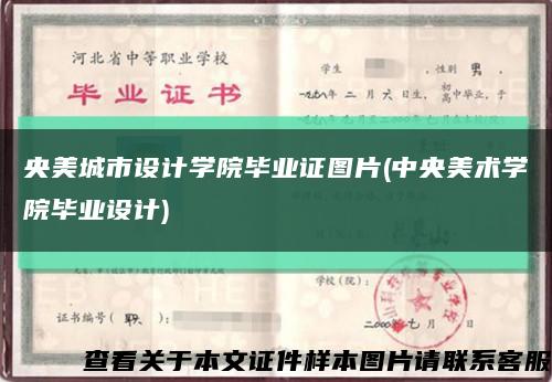 央美城市设计学院毕业证图片(中央美术学院毕业设计)缩略图