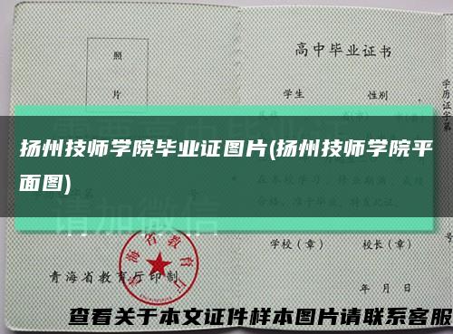 扬州技师学院毕业证图片(扬州技师学院平面图)缩略图
