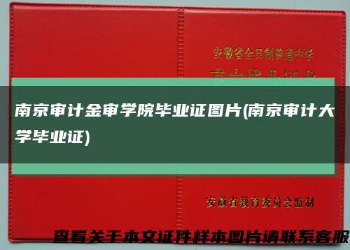 南京审计金审学院毕业证图片(南京审计大学毕业证)缩略图