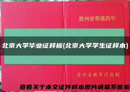 北京大学毕业证样板(北京大学学生证样本)缩略图