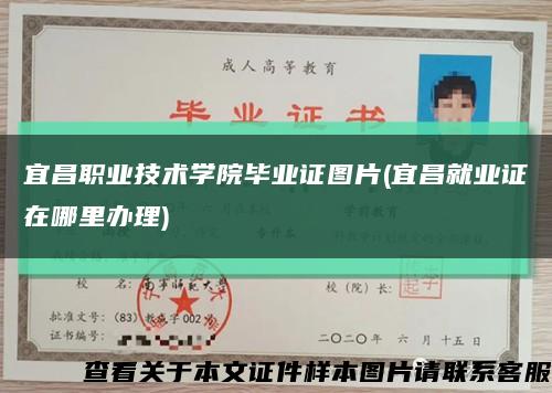 宜昌职业技术学院毕业证图片(宜昌就业证在哪里办理)缩略图