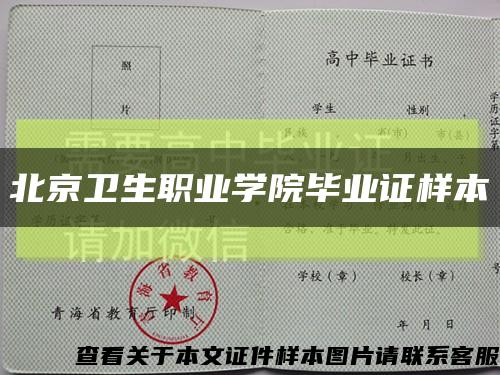 北京卫生职业学院毕业证样本缩略图
