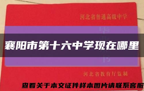 襄阳市第十六中学现在哪里缩略图