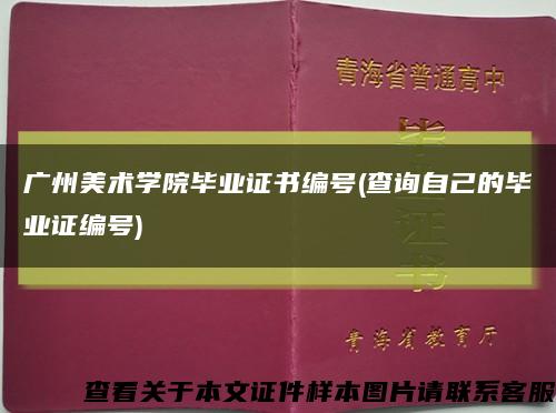 广州美术学院毕业证书编号(查询自己的毕业证编号)缩略图
