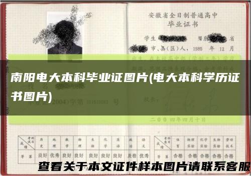 南阳电大本科毕业证图片(电大本科学历证书图片)缩略图